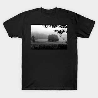 The Grove in fog T-Shirt